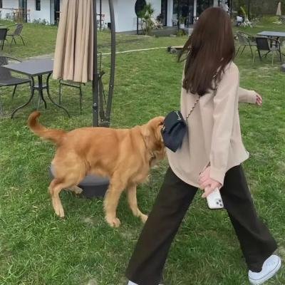 不公平恋爱